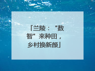 兰陵：“数智”来种田，乡村换新颜