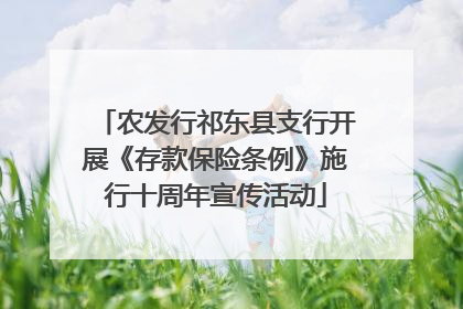 农发行祁东县支行开展《存款保险条例》施行十周年宣传活动