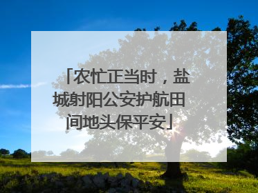 农忙正当时，盐城射阳公安护航田间地头保平安