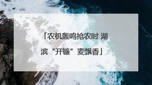 农机轰鸣抢农时 湖滨“开镰”麦飘香