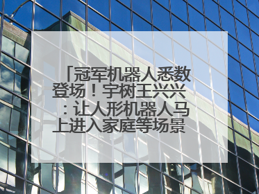 冠军机器人悉数登场！宇树王兴兴：让人形机器人马上进入家庭等场景并不现实
