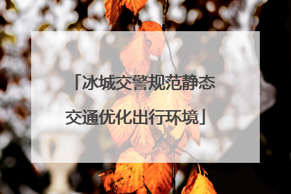冰城交警规范静态交通优化出行环境