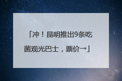 冲！昆明推出9条吃菌观光巴士，票价→