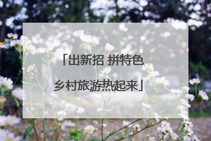 出新招 拼特色 乡村旅游热起来