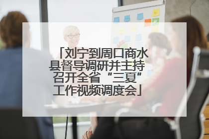 刘宁到周口商水县督导调研并主持召开全省“三夏”工作视频调度会