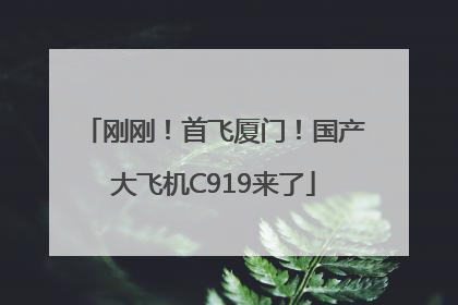 刚刚！首飞厦门！国产大飞机C919来了