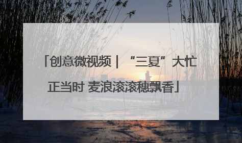 创意微视频｜“三夏”大忙正当时 麦浪滚滚穗飘香