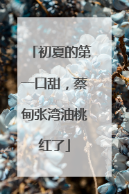 初夏的第一口甜，蔡甸张湾油桃红了