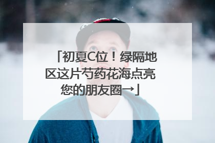 初夏C位！绿隔地区这片芍药花海点亮您的朋友圈→