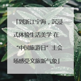 到浙江宁海，沉浸式体验生活美学 在“中国旅游日”主会场感受文旅新气象