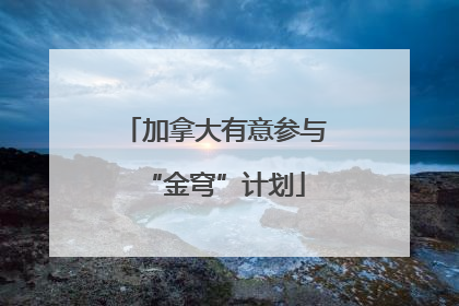 加拿大有意参与“金穹”计划