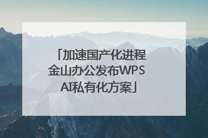 加速国产化进程 金山办公发布WPS AI私有化方案