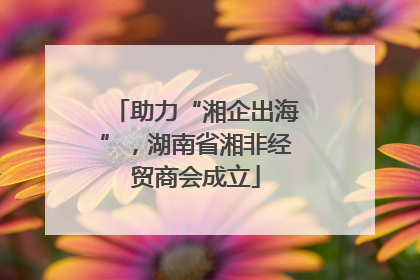 助力“湘企出海”，湖南省湘非经贸商会成立