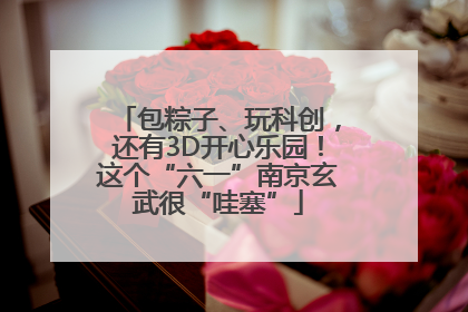 包粽子、玩科创，还有3D开心乐园！这个“六一”南京玄武很“哇塞”