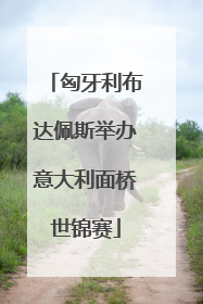 匈牙利布达佩斯举办意大利面桥世锦赛