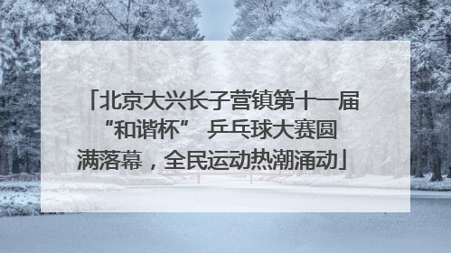 北京大兴长子营镇第十一届 “和谐杯” 乒乓球大赛圆满落幕，全民运动热潮涌动