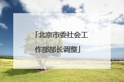 北京市委社会工作部部长调整