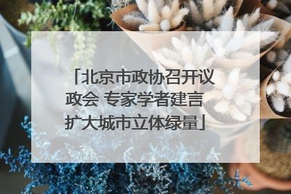 北京市政协召开议政会 专家学者建言扩大城市立体绿量