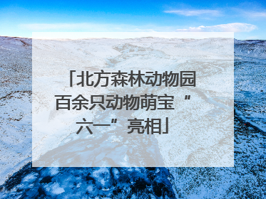 北方森林动物园百余只动物萌宝“六一”亮相