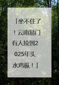 坐不住了！云南易门有人捡到2025年头水鸡枞！