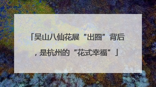 吴山八仙花展“出圈”背后，是杭州的“花式幸福”