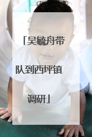 吴毓舟带队到西坪镇调研