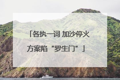 各执一词 加沙停火方案陷“罗生门”