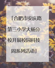 合肥市安庆路第三小学大杨分校开展校园科技周系列活动
