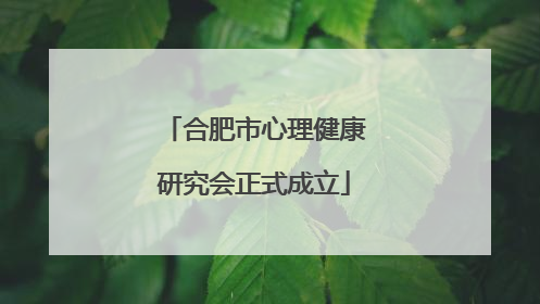 合肥市心理健康研究会正式成立