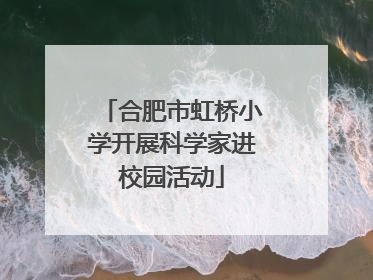 合肥市虹桥小学开展科学家进校园活动