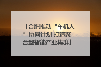 合肥推动“车机人”协同计划 打造聚合型智能产业集群