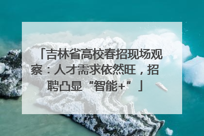 吉林省高校春招现场观察：人才需求依然旺，招聘凸显“智能+”