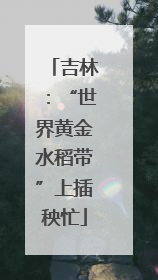 吉林：“世界黄金水稻带”上插秧忙