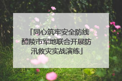 同心筑牢安全防线 醴陵市军地联合开展防汛救灾实战演练