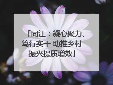 同江：凝心聚力、笃行实干 助推乡村振兴提质增效