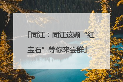 同江：同江这颗“红宝石”等你来尝鲜