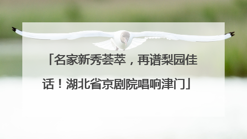 名家新秀荟萃，再谱梨园佳话！湖北省京剧院唱响津门