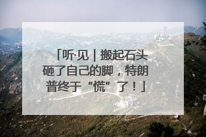 听·见｜搬起石头砸了自己的脚，特朗普终于“慌”了！
