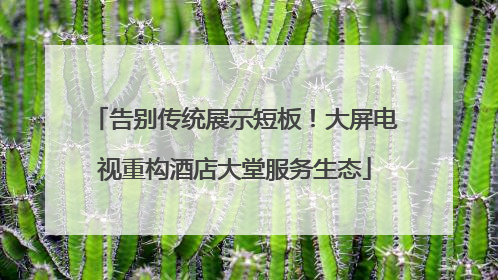 告别传统展示短板！大屏电视重构酒店大堂服务生态