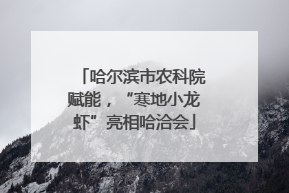 哈尔滨市农科院赋能，“寒地小龙虾”亮相哈洽会