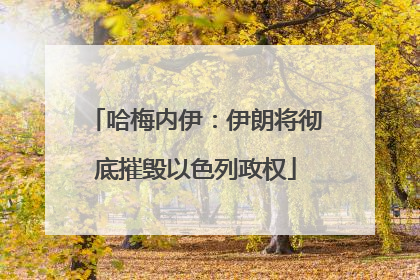 哈梅内伊：伊朗将彻底摧毁以色列政权