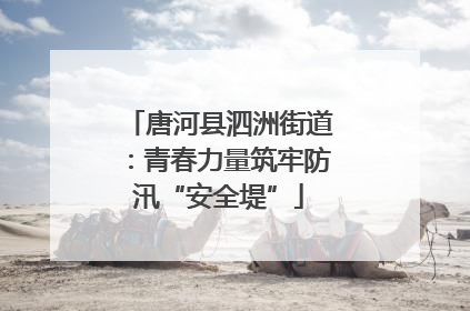 唐河县泗洲街道：青春力量筑牢防汛“安全堤”