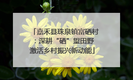 嘉禾县珠泉镇富硒村：深耕“硒”望田野 激活乡村振兴新动能