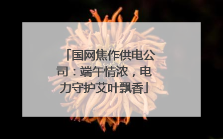 国网焦作供电公司：端午情浓，电力守护艾叶飘香