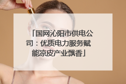 国网沁阳市供电公司：优质电力服务赋能凉皮产业飘香