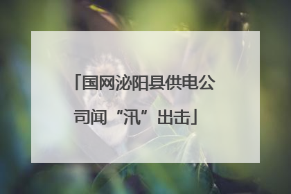 国网泌阳县供电公司闻“汛”出击