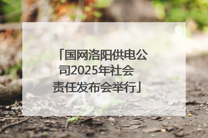国网洛阳供电公司2025年社会责任发布会举行
