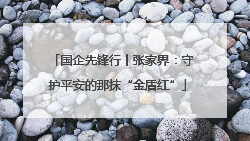 国企先锋行丨张家界：守护平安的那抹“金盾红”