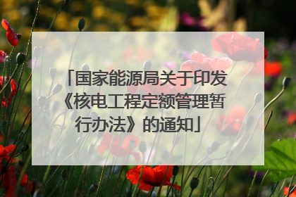 国家能源局关于印发《核电工程定额管理暂行办法》的通知