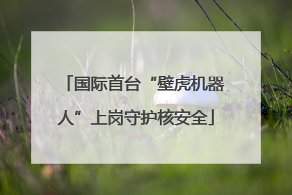 国际首台“壁虎机器人”上岗守护核安全